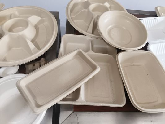  Αυτόματο Σύστημα Ψεκασμού Επίστρωσης για Χυτευμένο Πολτό | Ακριβής Εσωτερική Επίστρωση