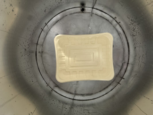 Γραμμή περιστροφικής επίστρωσης 24 σταθμών για αδιαβροχοποίηση χυτευμένων πολτών με υψηλής απόδοσης σύστημα ξήρανσης για επιτραπέζια σκεύη από μπαγκάσα και μπαμπού