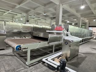 Γραμμή Στεγνώματος και Αποστείρωσης Μικροκυμάτων Υψηλής Ακρίβειας για Τρόφιμα | Κατασκευασμένο κατά Παραγγελία για Ποιότητα και Αποδοτικότητα