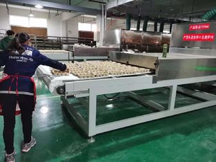 Microwave Wood Drying Kiln for Furniture Board & Panel - Customized Lumber Drying Solution