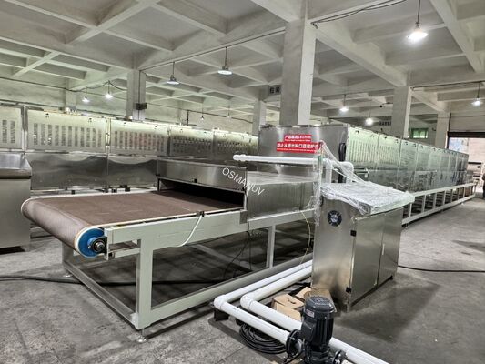 Industrial Microwave Drying Tunnel for Fruits, Herbs & Pulp Molding - High Efficiency Uniform Drying