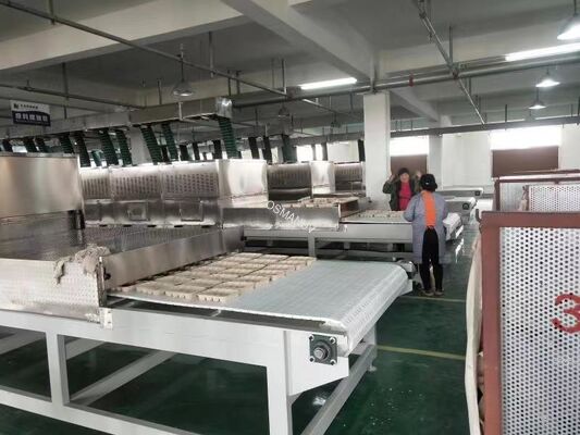 Stainless Steel Microwave Vacuum Drying Machine with Advanced Technology